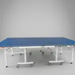 Double Fish Professional Indoor Ping-Pong 18mm Top 203 Tennis Table