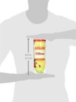 Wilson Championship All-Court Pro Tennis Balls - Image 3