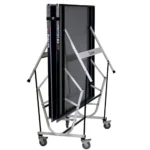 Double Fish DF-339 Foldable Ping Pong Indoor/Table - Image 3