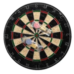 Champion Tournament Bristle Dartboard - Image 3