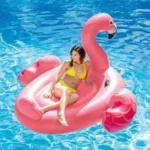 Intex Summertime Bliss Flamingo Float