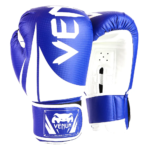 Venum Boxing Gloves