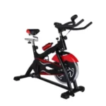 Emma Stationary Bike