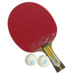 Double Fish Table Tennis Racket Training
