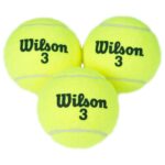 Wilson Championship All-Court Pro Tennis Balls