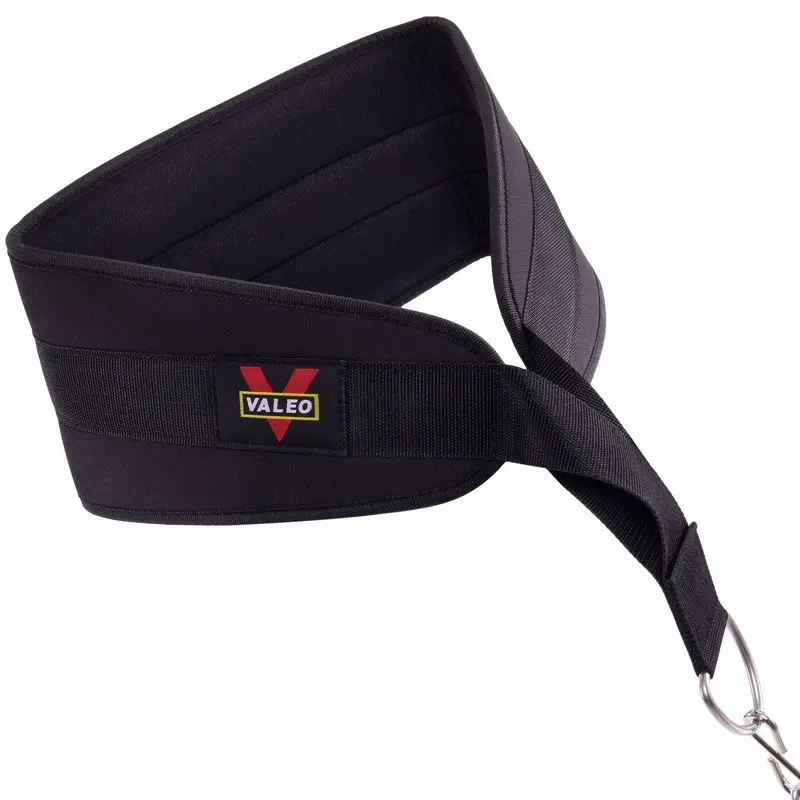 1542.webp Training DIP WEIGHT BELT - Image 1