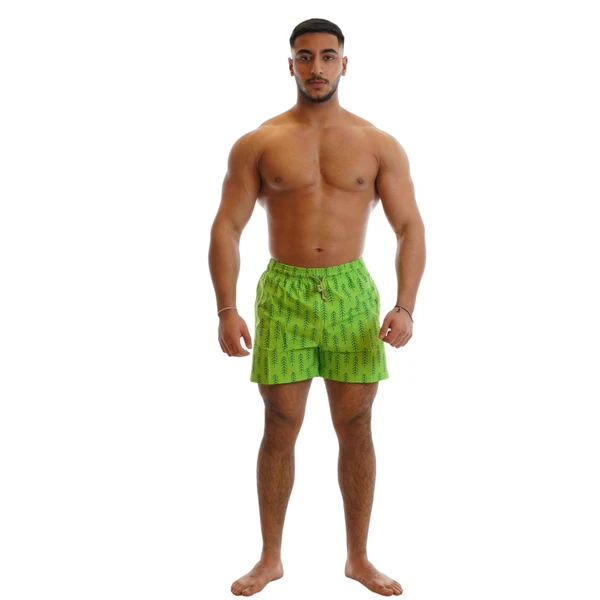 450-5.webp Summer Vibes Men's Swim Shorts - Image 1