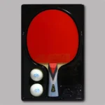 Double Fish 4A+C Professional Ping Pong Racket - Image 3
