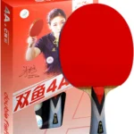 Double Fish 4A+C Professional Ping Pong Racket
