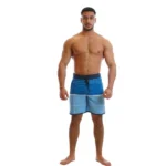 Surfline Mens Shorts