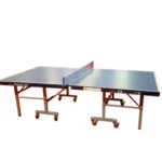 Double Fish Professional Indoor Ping-Pong 18mm Top 203 Tennis Table