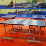 Double Fish Professional Indoor Ping-Pong 18mm Top 203 Tennis Table - Image 3