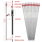 SPG 12-Piece Carbon Archery Arrow Set - Image 3