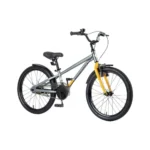 Topright 20' Single Speed MTB Mountain Bike For Kids