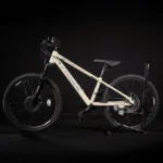 TRINX M240 24" Adventure Mountain Bike