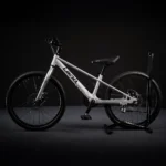 LANQ 22-Inch Bicycle - Image 4