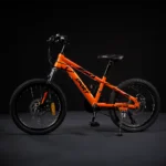 Lanq 21-Speed Bicycle Kids