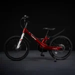 Lanq Single-Speed Bicycle Kids