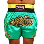Twins High-Quality Muay Thai Shorts - Image 2