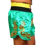 Twins High-Quality Muay Thai Shorts - Image 4
