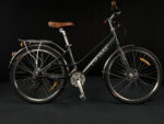 Forever Hard 21-Speed Bicycle